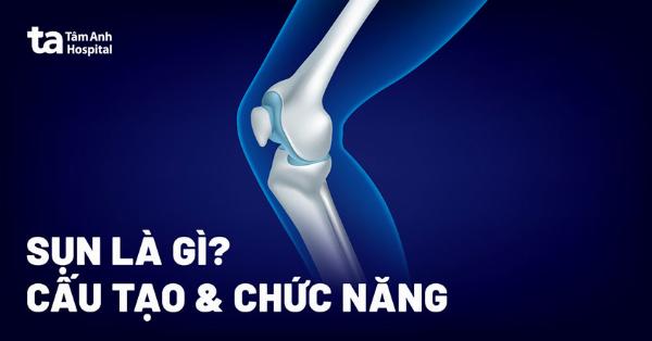 Hinh anh cau tao xuong va sun mui