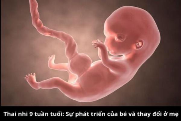 Minh hoa cac buoc cham soc mui o tuan thu 8