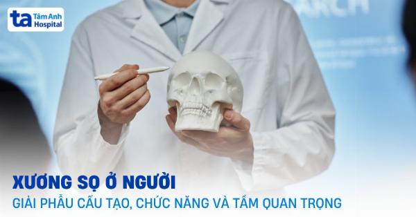 Mối liên hệ giải phẫu giữa răng hàm và cấu trúc mũi