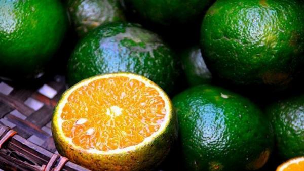 Lợi ích của nước cà rốt giúp giảm sưng bầm và tăng đề kháng sau khi nâng mũi, minh họa bằng hình ảnh mũi đang hồi phục và ly nước ép cà rốt tươi