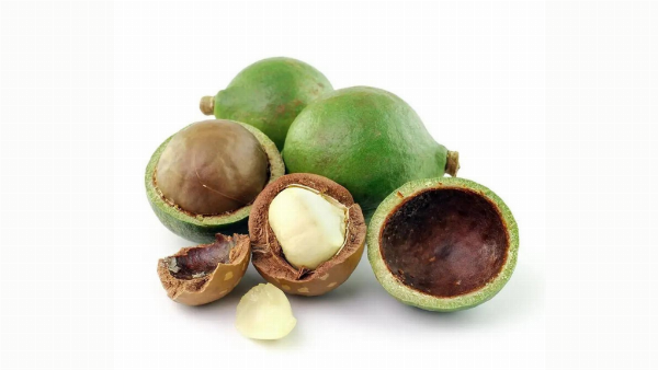 Các lưu ý và thận trọng khi sử dụng dầu mù u trị sẹo lõm tại nhà