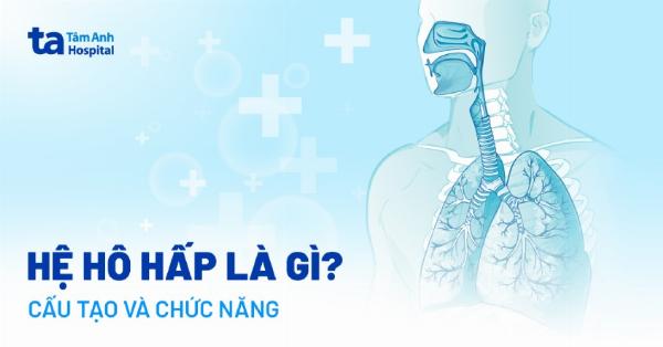 Hình ảnh mô tả vùng da mũi bị mỏng đi và lão hóa, làm rõ đường viền sụn nhân tạo bên dưới da, minh họa cho vấn đề thường gặp ở mũi nâng khi về già