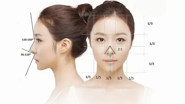 Các tỷ lệ vàng và nguyên tắc thẩm mỹ tạo nên dáng mũi đẹp hài hòa