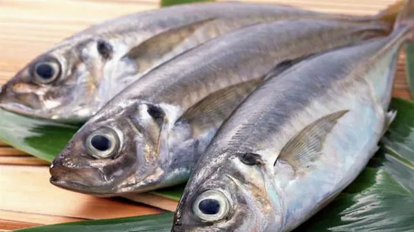 Omega-3-trong-cá-hồi-có-tác-động-như-thế-nào-đến-sẹo-lồi