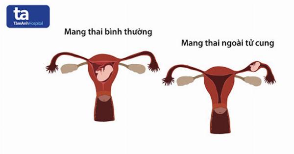 Hình ảnh không gian phòng phẫu thuật hoặc tư vấn cao cấp của Phú Xuân