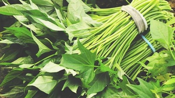 Lợi ích dinh dưỡng của rau lang đối với người sau nâng mũi, giàu vitamin và khoáng chất