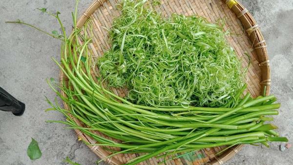 Ăn rau muống sau khi vết thương đã lành