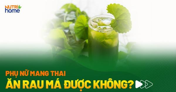Madecassoside trong rau muống kích thích collagen
