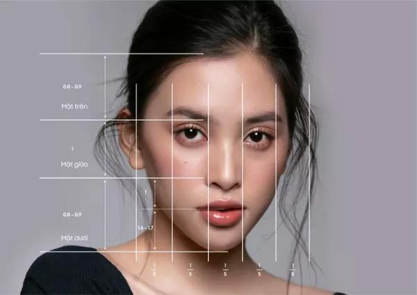 Hình ảnh minh họa các tiêu chuẩn mũi đẹp hiện đại: S-line, L-line, tỷ lệ vàng khuôn mặt, sống mũi cao, đầu mũi thon gọn, cánh mũi cân đối.