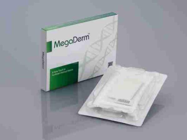 Mô tả vật liệu Megaderm được sử dụng trong nâng mũi
