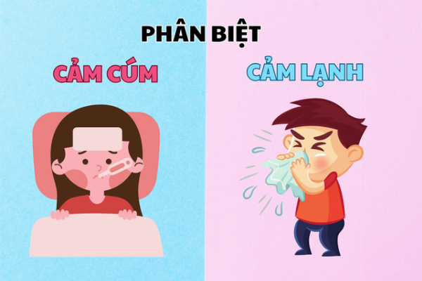 Infographic yeu to tac dong den phuc hoi mui